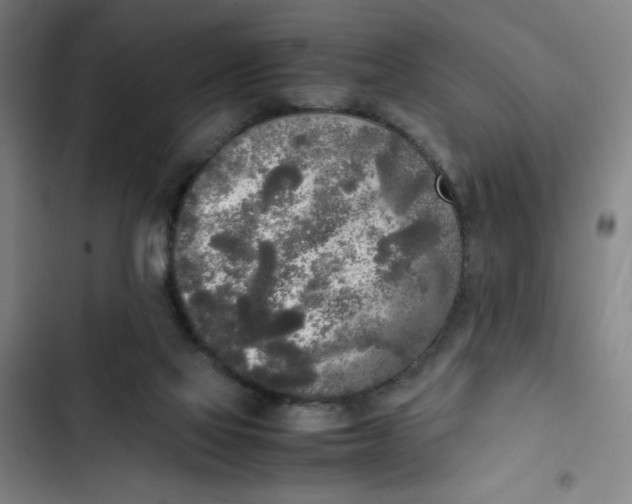 X0000102470069200808221653
