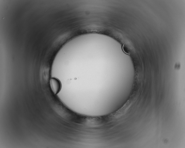 X0000102470070200808221653
