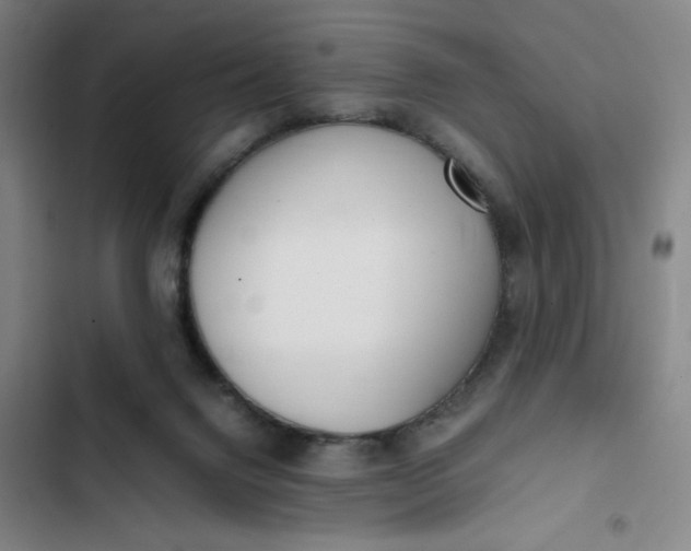X0000102470072200808221653