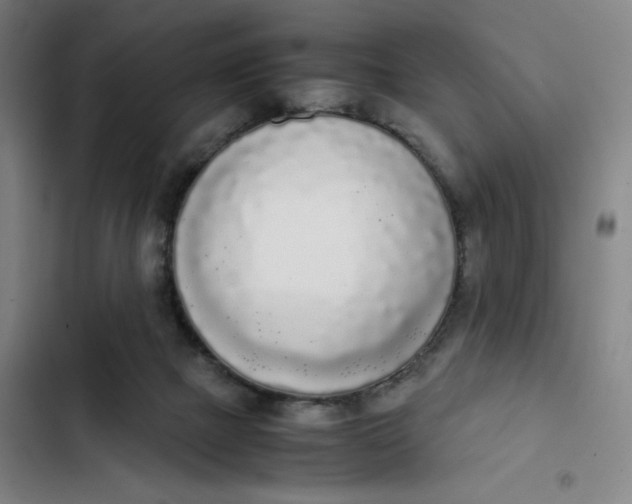 X0000102470073200808221653