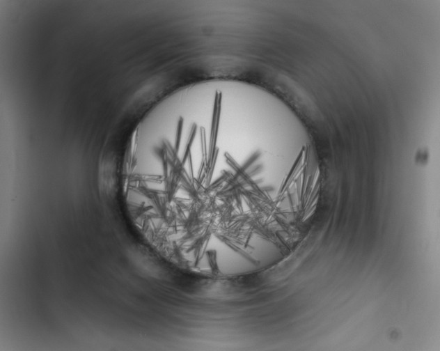 X0000102470074200808221653