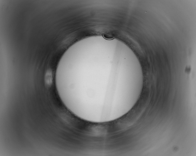 X0000102470075200808221653