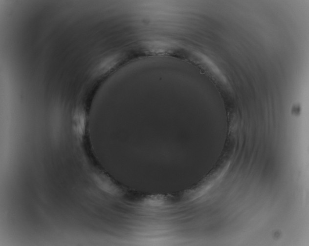 X0000102470076200808221653