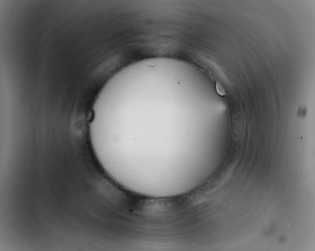X0000102470077200808221653