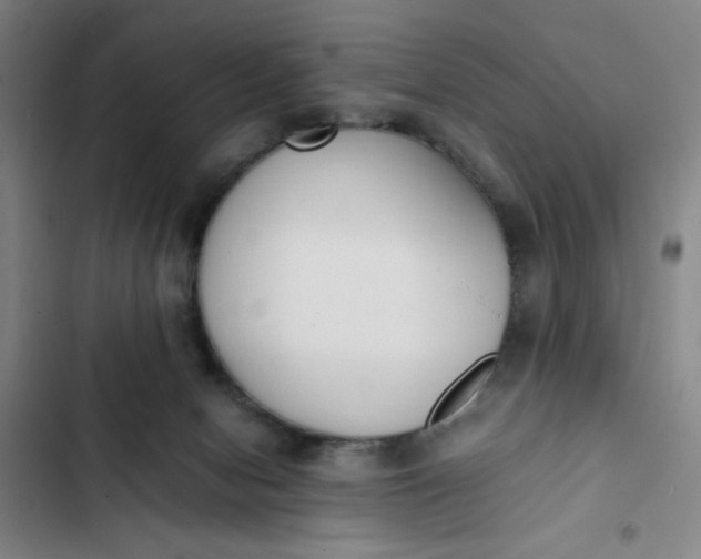 X0000102470078200808221653