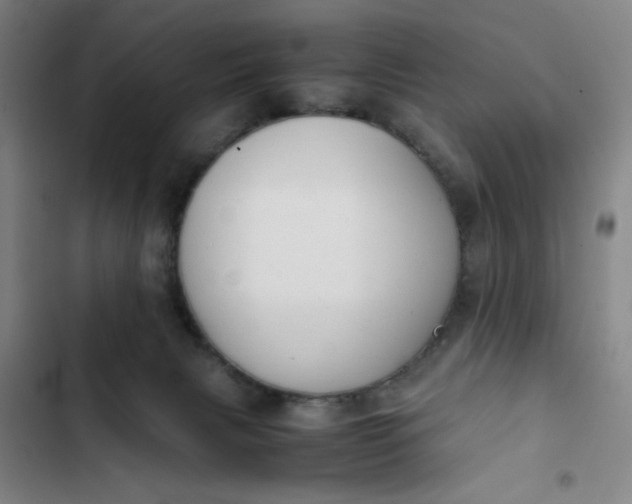 X0000102470079200808221653