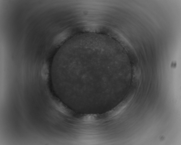 X0000102470080200808221653