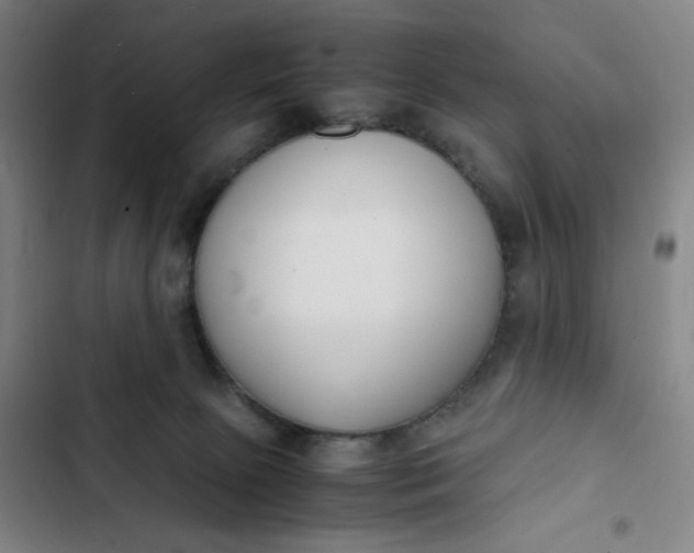 X0000102470081200808221653