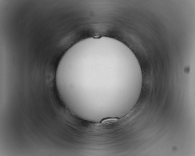X0000102470082200808221653