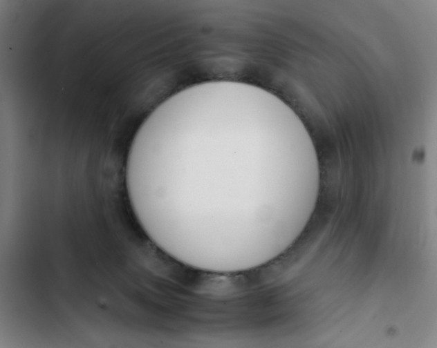 X0000102470083200808221653