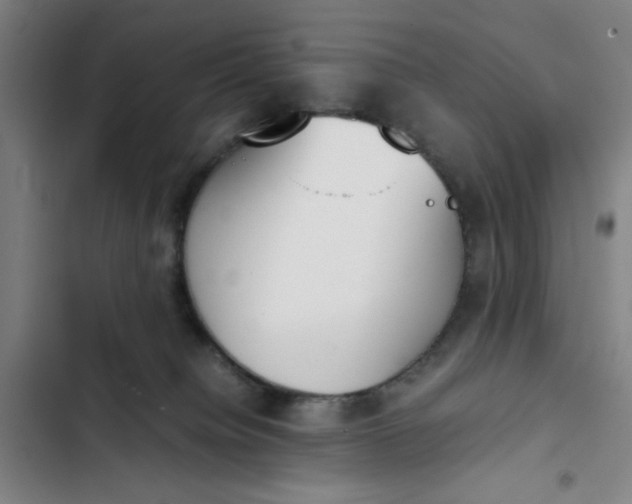 X0000102470084200808221653