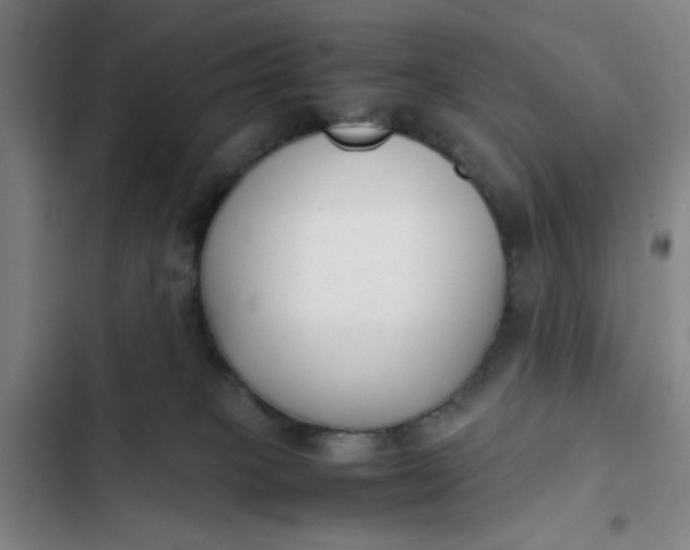 X0000102470085200808221653