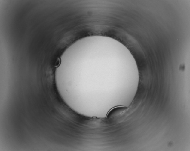 X0000102470086200808221653