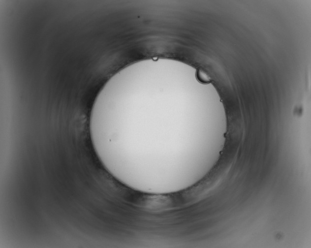 X0000102470087200808221653