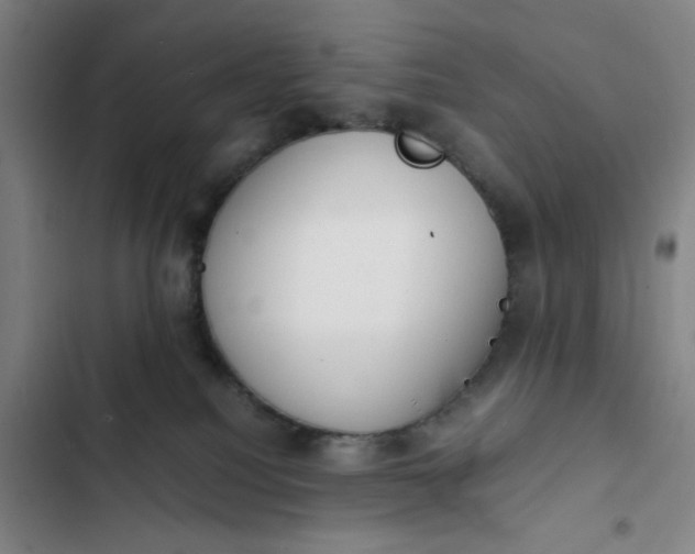X0000102470088200808221653