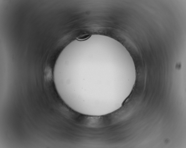 X0000102470089200808221653