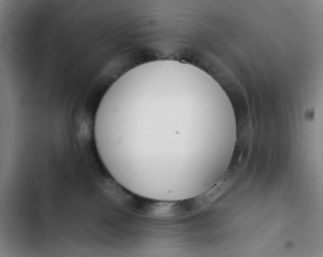 X0000102470090200808221653