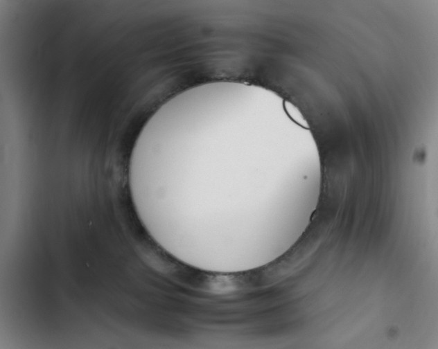 X0000102470091200808221653