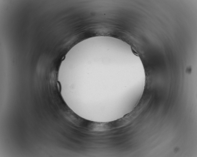 X0000102470093200808221653