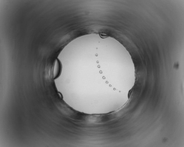 X0000102470094200808221653