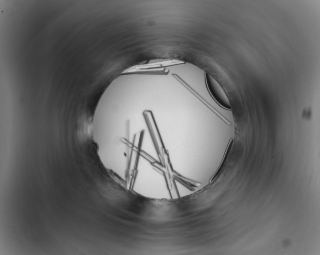 X0000102470095200808221653