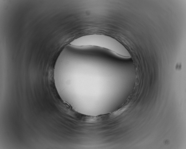 X0000102470096200808221653