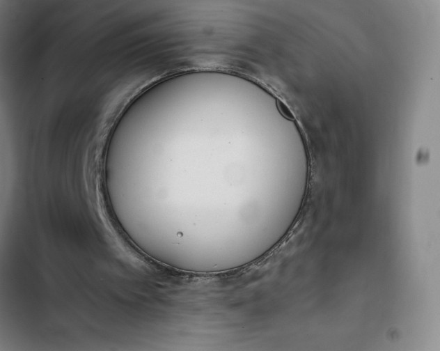 X0000102470097200808221652