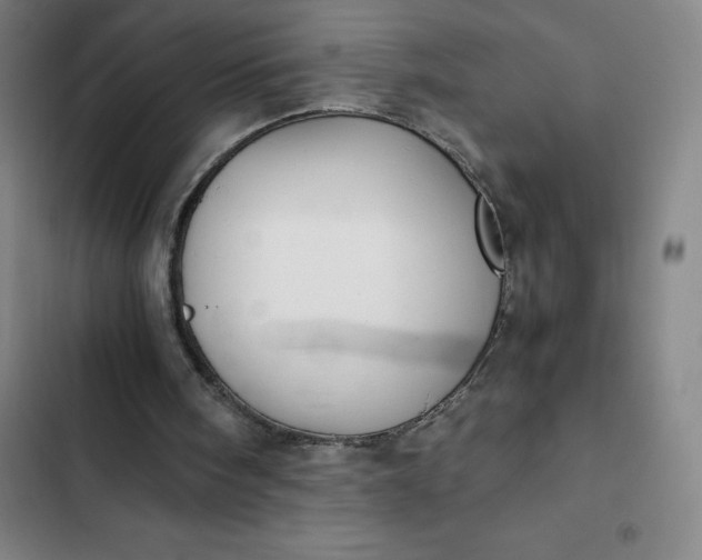 X0000102470098200808221652