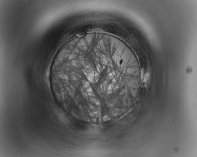 X0000102470099200808221652