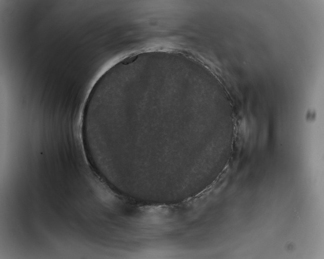 X0000102470100200808221652