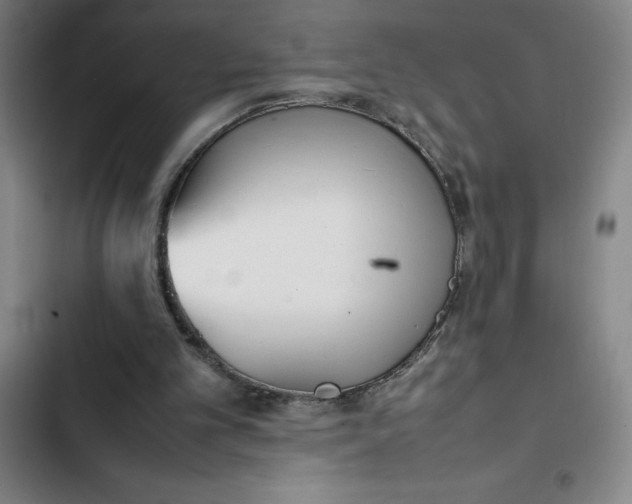 X0000102470101200808221652