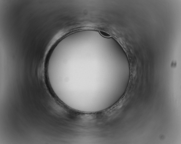X0000102470102200808221652
