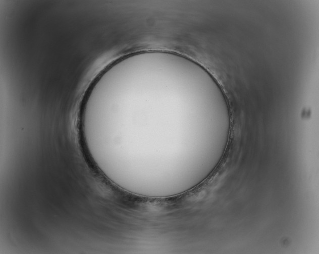X0000102470103200808221652