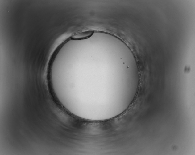 X0000102470104200808221652