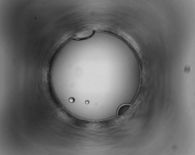 X0000102470105200808221652
