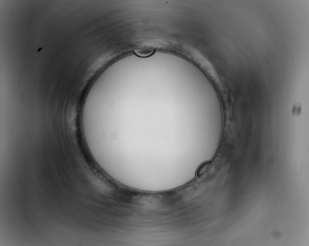 X0000102470106200808221652