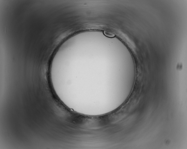X0000102470107200808221652