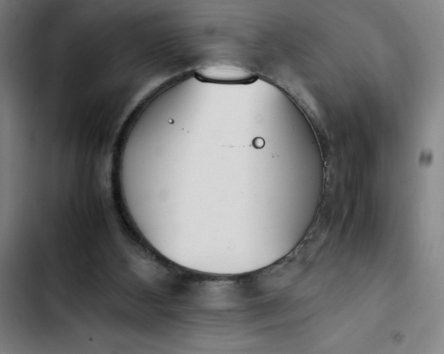 X0000102470108200808221652