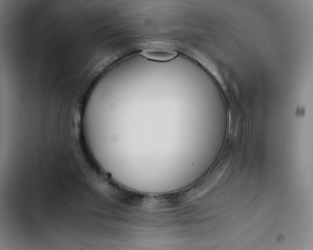 X0000102470109200808221652
