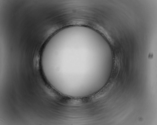 X0000102470110200808221652