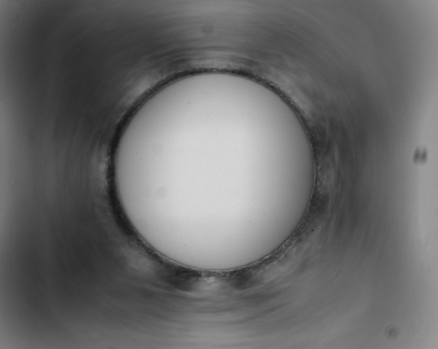 X0000102470111200808221652