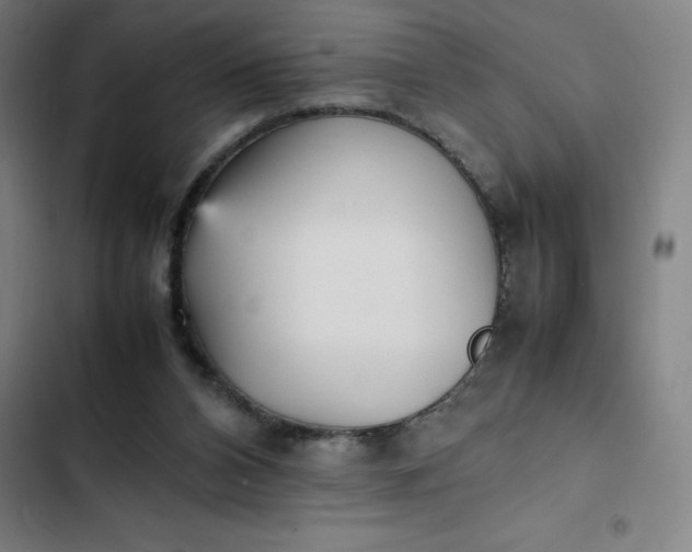 X0000102470112200808221652