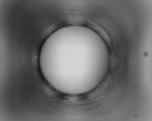 X0000102470113200808221652