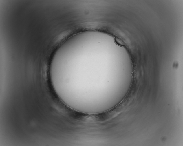 X0000102470115200808221652