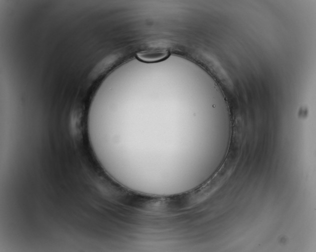 X0000102470116200808221652