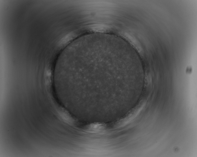 X0000102470117200808221652