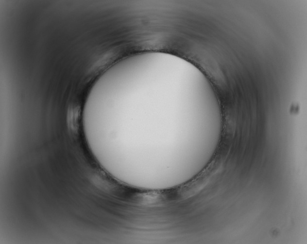 X0000102470118200808221652