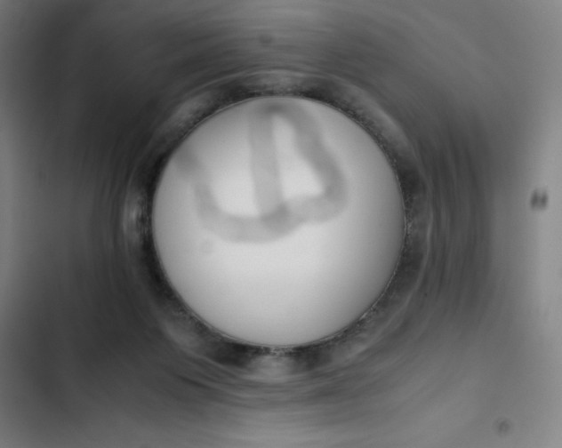 X0000102470119200808221652