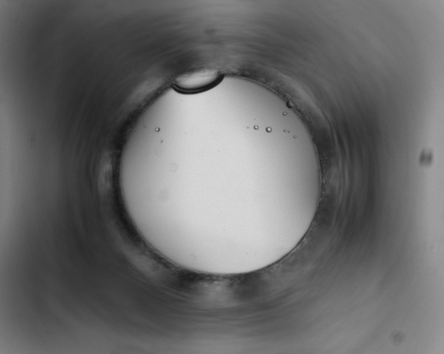 X0000102470120200808221652