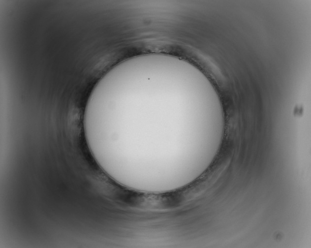 X0000102470121200808221652